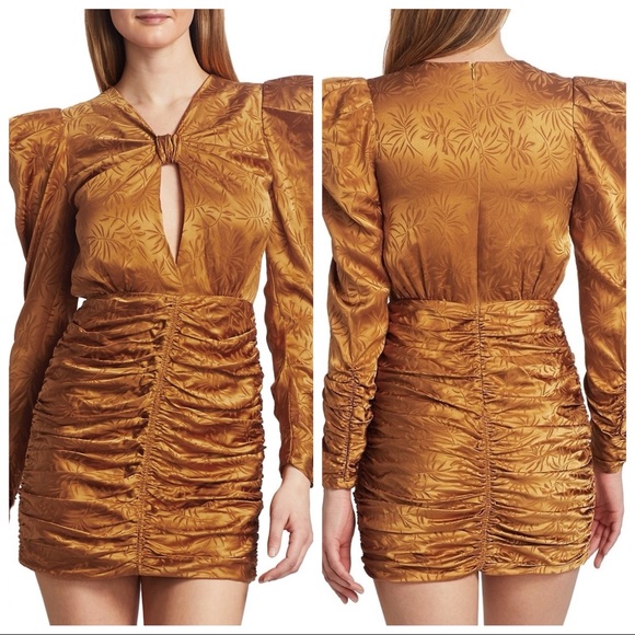 Ronny Kobo Flora Bronze Ruched Mini Dress - Picture 7 of 14